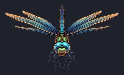 dragonfly_p2-0101_view-01_transparent_v01.png