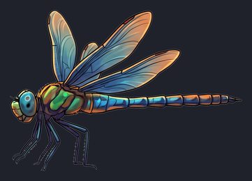 dragonfly_p2-0101_view-02_transparent_v01.png