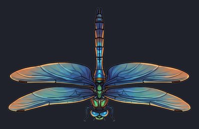 dragonfly_p2-0101_view-04_transparent_v01.png
