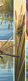 dragonfly_p2-0102_behavior-03_scene_v01.png
