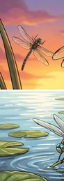 dragonfly_p2-0102_behavior-04_scene_v01.png