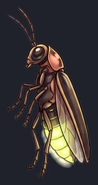 firefly_p2-0103_view-01_transparent_v01.png