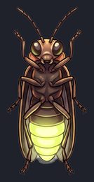 firefly_p2-0103_view-02_transparent_v01.png