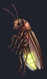 firefly_p2-0103_view-03_transparent_v01.png
