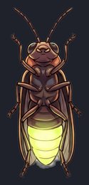 firefly_p2-0103_view-04_transparent_v01.png
