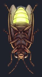 firefly_p2-0103_view-05_transparent_v01.png