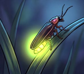 firefly_p2-0104_behavior-04_scene_v01.png