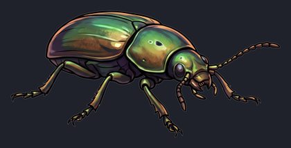 beetle_p2-0105_view-01_transparent_v01.png