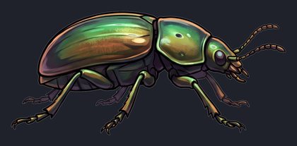 beetle_p2-0105_view-02_transparent_v01.png