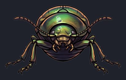 beetle_p2-0105_view-03_transparent_v01.png