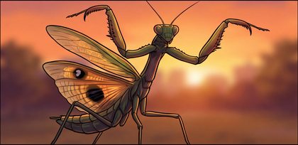 praying-mantis_p2-0108_behavior-04_scene_v01.png