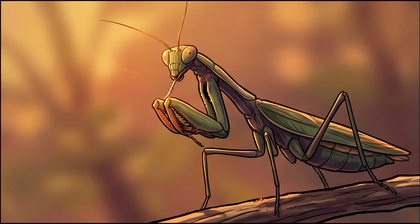 praying-mantis_p2-0108_behavior-05_scene_v01.png