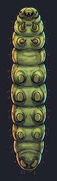 caterpillar_p2-0109_view-04_transparent_v01.png