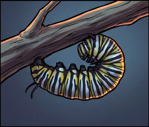 caterpillar_p2-0110_behavior-03_scene_v01.png