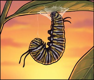 caterpillar_p2-0110_behavior-05_scene_v01.png