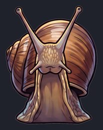 snail_p2-0111_view-03_transparent_v01.png