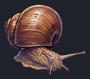 snail_p2-0111_view-04_transparent_v01.png
