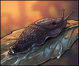 slug_p2-0114_behavior-01_scene_v01.png