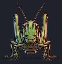 grasshopper_p2-0115_view-03_transparent_v01.png