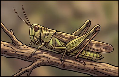 grasshopper_p2-0116_behavior-03_scene_v01.png