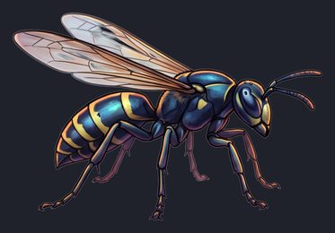 wasp_p2-0117_view-01_transparent_v01.png