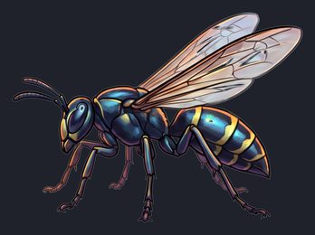 wasp_p2-0117_view-02_transparent_v01.png