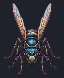 wasp_p2-0117_view-03_transparent_v01.png