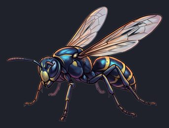 wasp_p2-0117_view-04_transparent_v01.png