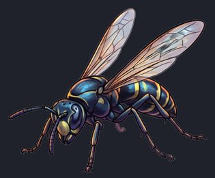 wasp_p2-0117_view-05_transparent_v01.png