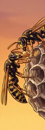 wasp_p2-0118_behavior-04_scene_v01.png