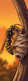 wasp_p2-0118_behavior-05_scene_v01.png