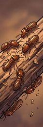 termite_p2-0120_behavior-02_scene_v01.png