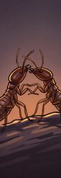 termite_p2-0120_behavior-04_scene_v01.png