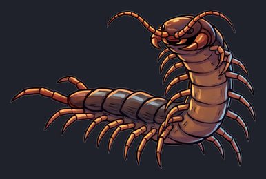 centipede_p2-0121_view-04_transparent_v01.png
