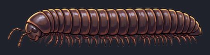 millipede_p2-0123_view-01_transparent_v01.png