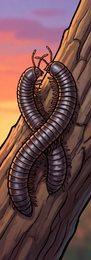 millipede_p2-0124_behavior-04_scene_v01.png