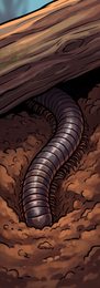 millipede_p2-0124_behavior-05_scene_v01.png