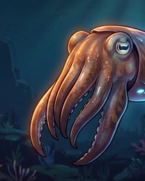 cuttlefish_p2-0147_vertical-safe_v01.png