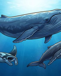 ocean-giants_p2-0155_vertical-safe_v01.png