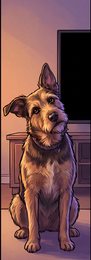 modern-01_dog-tilting-head-at-sound_p2-0195_v01.png