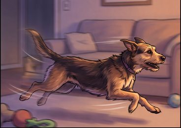 modern-01_dog-zoomies-through-living-room_p2-0195_v01.png