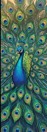 modern-08_peacock-displaying-feathers_p2-0202_v01.png
