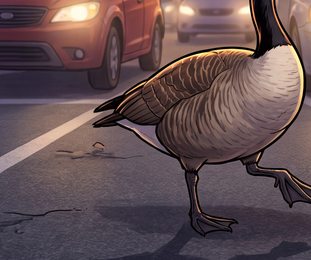 modern-10_goose-crossing-parking-lot_p2-0204_v01.png