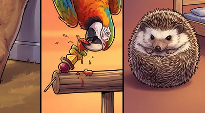 modern-11_hedgehog-near-small-bed_p2-0205_v01.png
