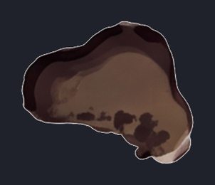 tree-roots_isolated_transparent_p2-0229_v01.png