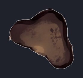 bird-tracks_isolated_transparent_p2-0229_v01.png
