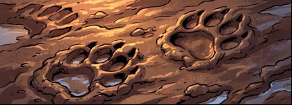 educational-01_animal-footprint-evidence-in-mud_p2-0233_v01.png