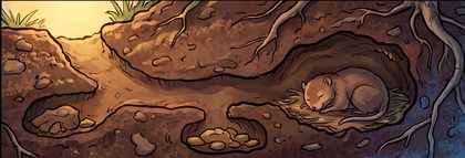 educational-01_burrow-cross-section_p2-0233_v01.png