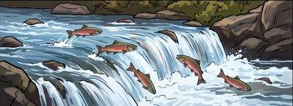 educational-07_salmon-like-fish-migration-scene_p2-0239_v01.png