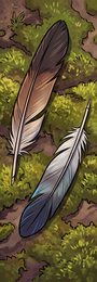 educational-08_feathers-at-resting-site_p2-0240_v01.png